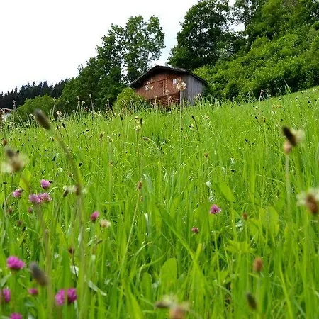 & Wachterhof 3* Kaltenbach